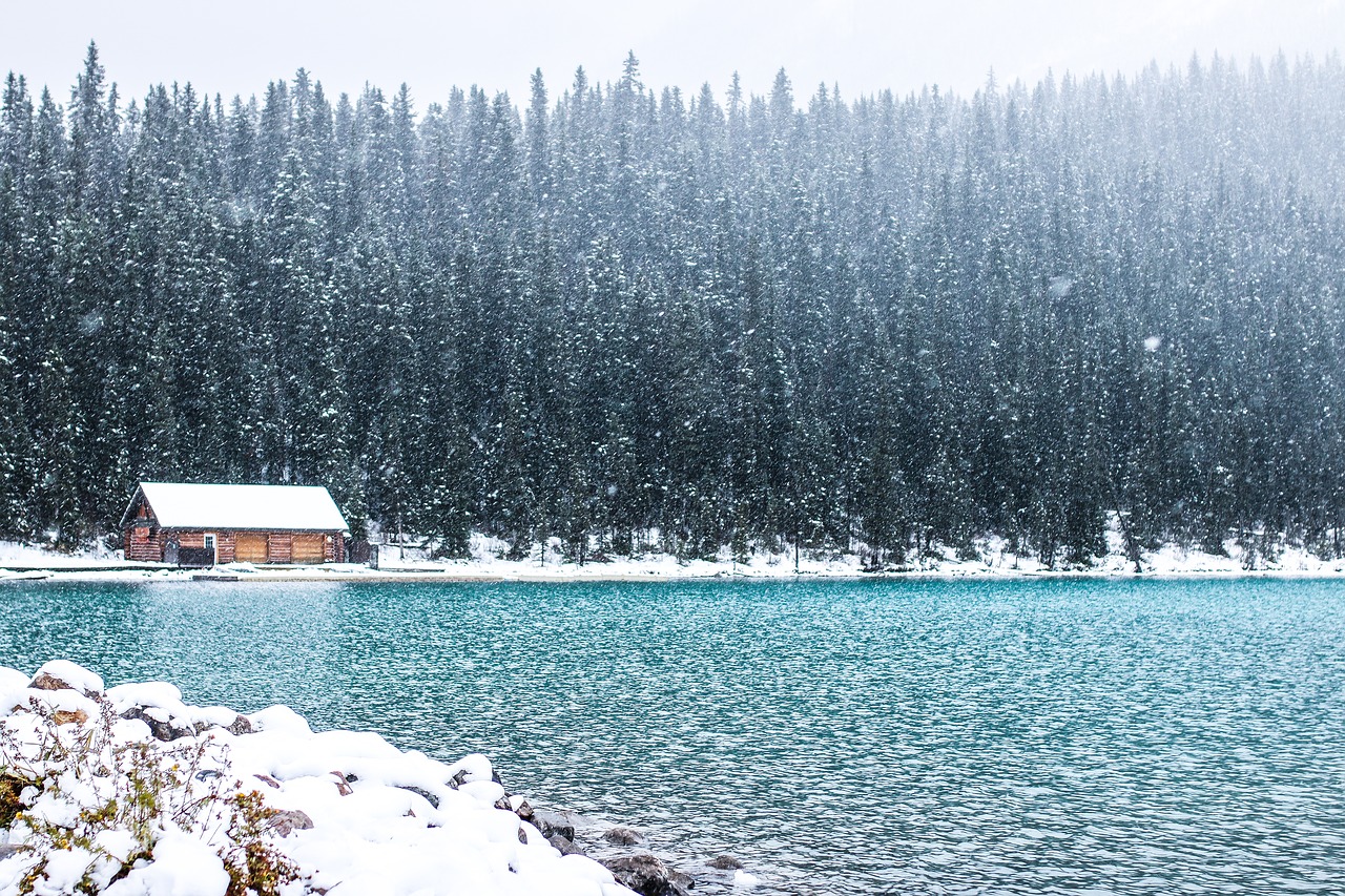 Wycieczka do Gołuchowa – kwatery z łazienkami, pokoje do wynajęcia Gołuchów